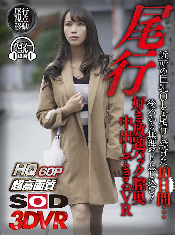 13dsvr00630♡OL|【VR】尾行VR【改良追跡侵入バック視点】近所の巨乳OLを尾行し続けた10日間…後ろから無理やりねじ込む！好き放題バック膣奥中出しできるVR