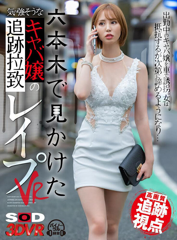 13dsvr01196♡素人|【VR】【高画質 追跡視点】六本木で見かけた気の強そうなキャバ嬢を追跡拉致レ●プVR