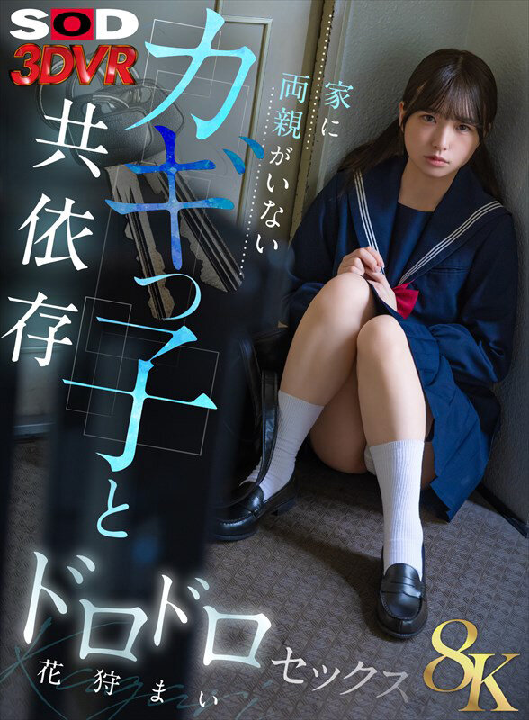 13dsvr01832♡美乳|【VR】【8K】家に両親がいないカギっ子と共依存ドロドロセックス 花狩まい