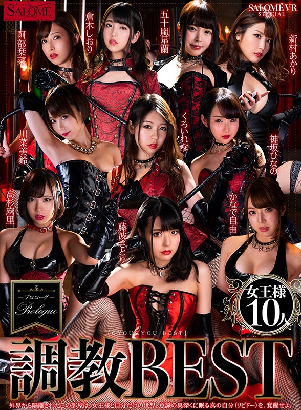 h_1419spvr00021♡その他フェチ|【VR】女王様10人 調教BEST